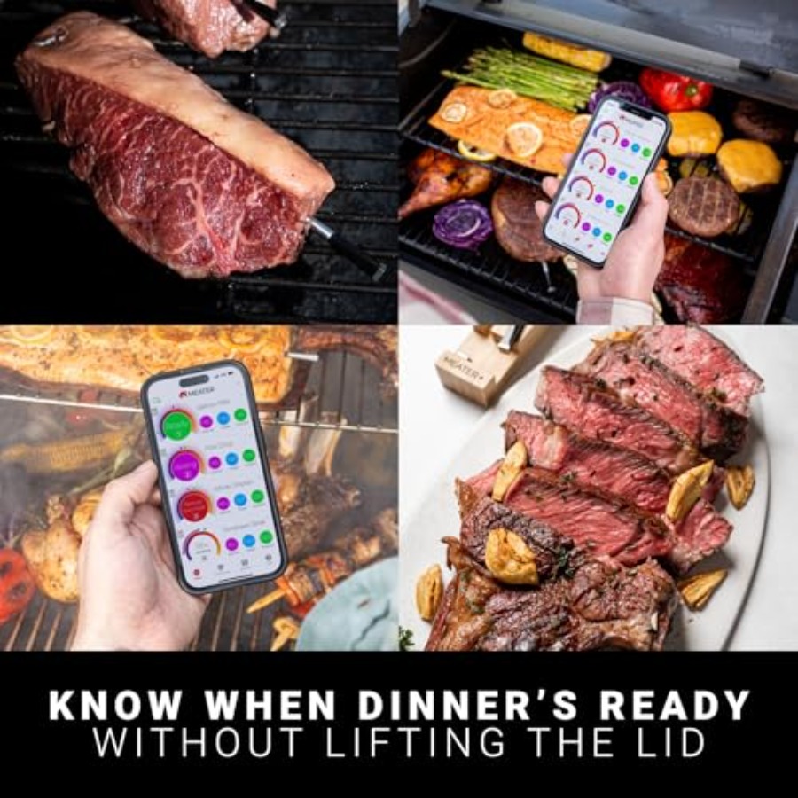 Block: WiFi Smart Wireless Mea - Meat Thermometer recension och pris