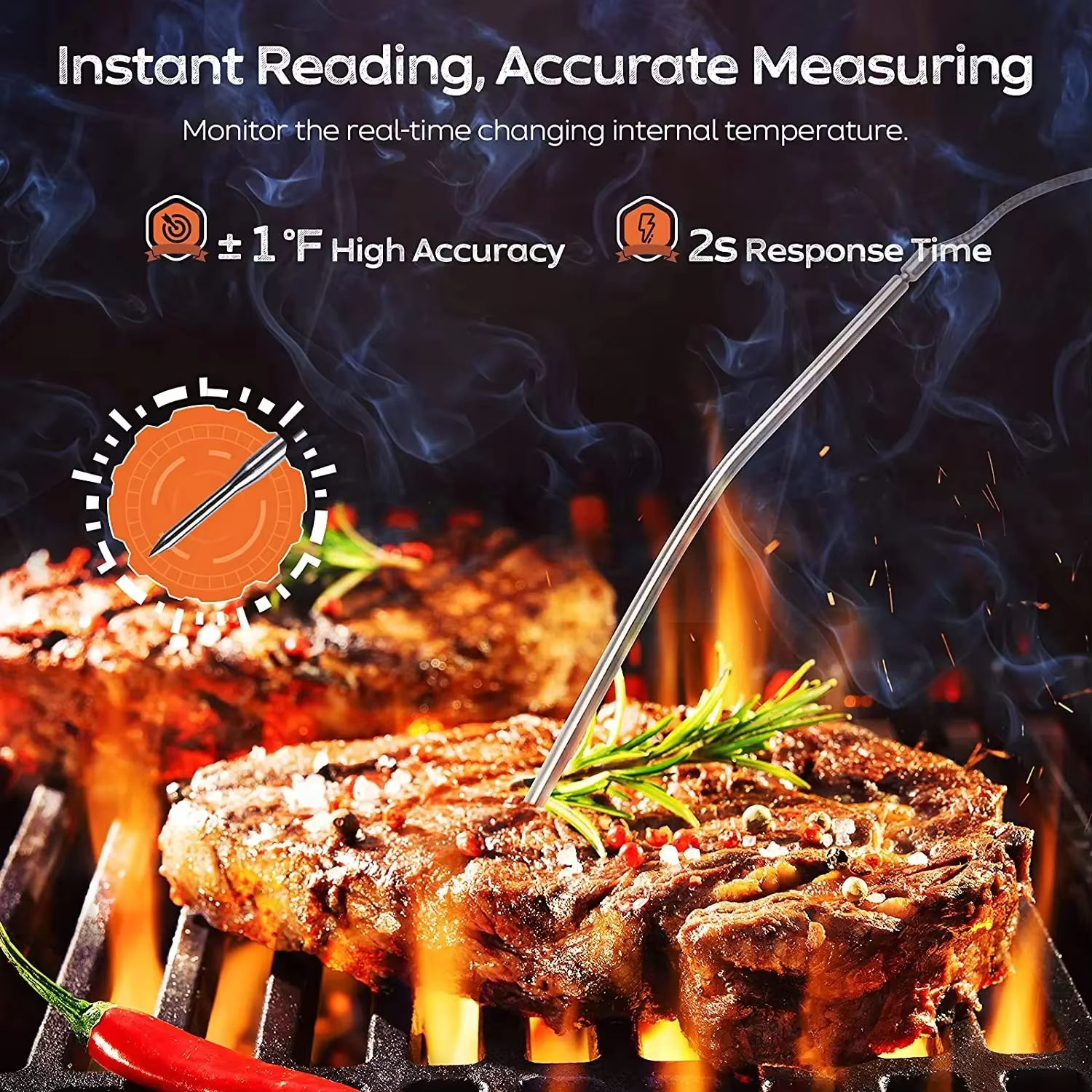 HOMEFISH Digital Meat Kitchen  - Meat Thermometer recension och pris