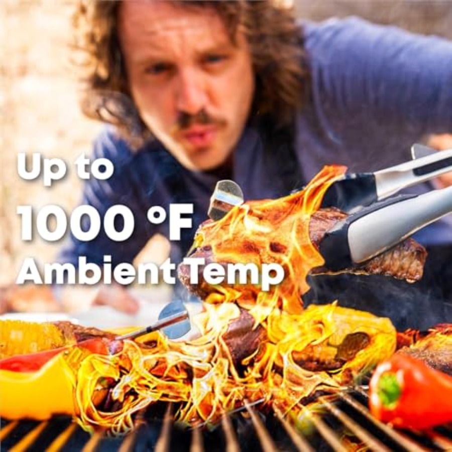 ProTemp 2nd-Gen Needle Probe - - Meat Thermometer recension och pris